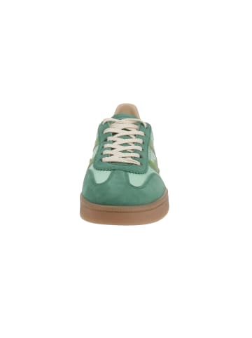 Gant Sneaker low Cuzima in Grün