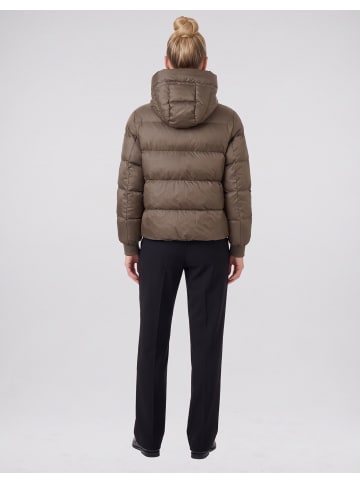No.1 Como Steppjacke SCOTTIA in TAUPE