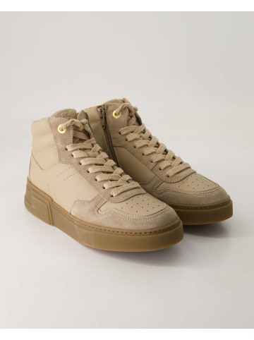 Paul Green Klassische Stiefeletten in Beige