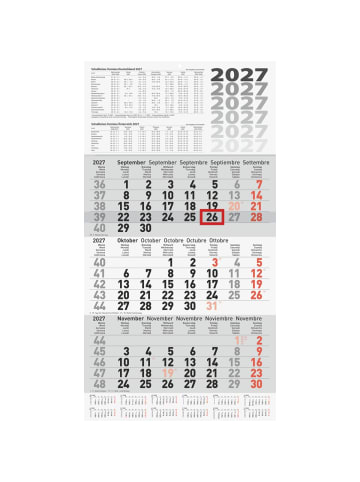 BRUNNEN 3-Monatskalender Wandkalender 30x58cm einteilig 2027