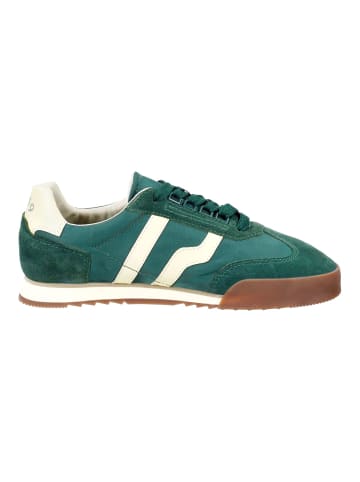 GANT Footwear Sneaker in Grün