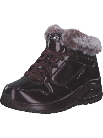 Skechers Stiefeletten in burgundy