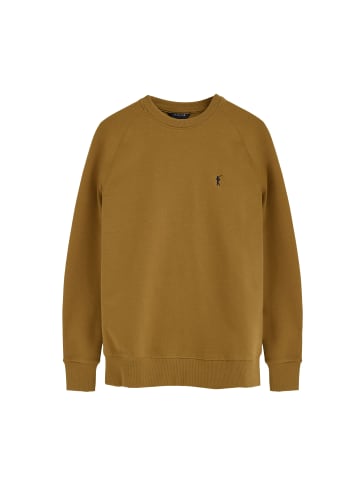 Polo Club Sweatshirt MAN RIGBY GO SWEATSHIRT ARGOS LONG SLEEVE REGULAR FIT in Senf