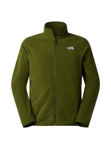 The North Face Glacier Fleece Jacket in Grün