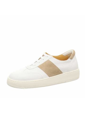 Truman's Sneaker in weiß