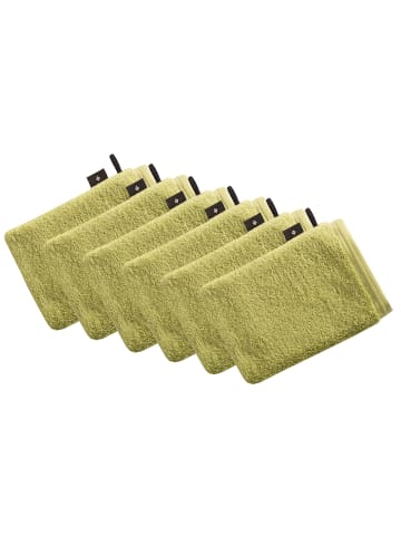 Vossen 6er Pack Waschhandschuh in avocado