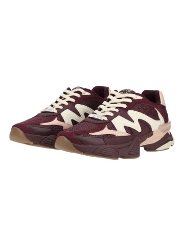 Steve Madden Sneaker SPEEDER in Rot/Pink