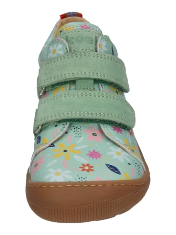 KOEL Sneaker Low DANNY PRINT 07M008.011-321 in grün