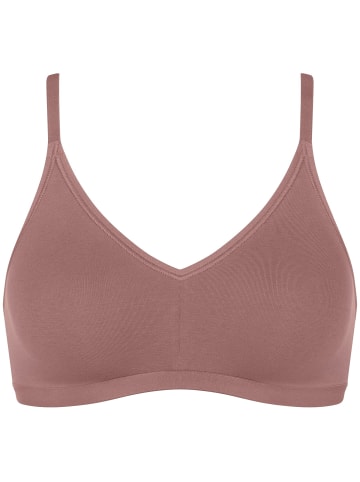 Sloggi Bügelloser BH GO Daily Cotton Soft in CACAO