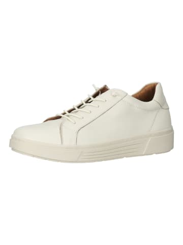 Hush Puppies Sneaker in Ivory