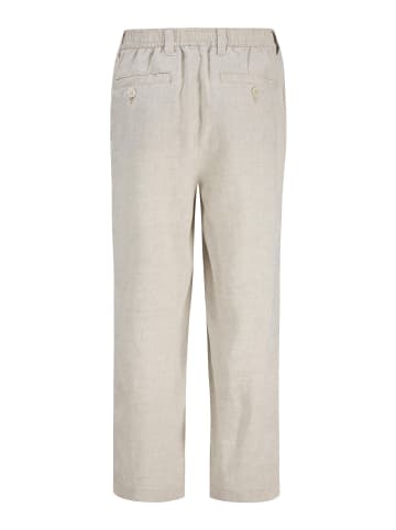 JACK & JONES Junior Chino Hose in Silver Lining