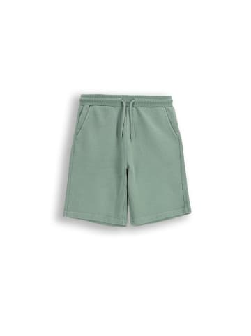 Coccodrillo Kurze Baumwollshorts in grün