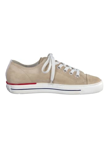 Paul Green Sneaker in Sand