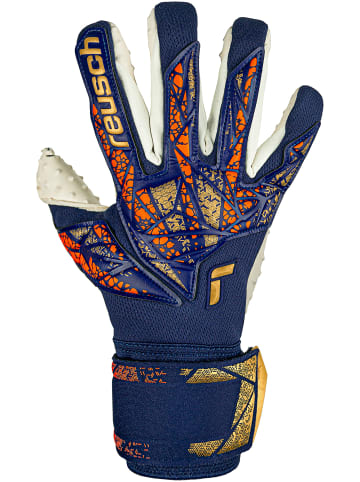 Reusch Torwarthandschuh Attrakt SpeedBump in 4410 premium blue/gold