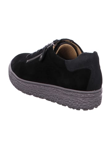 Hartjes Komfort Schnürschuhe in Schwarz