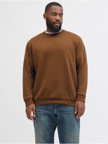 JACK & JONES PLUS Sweatshirt in Monks Robe