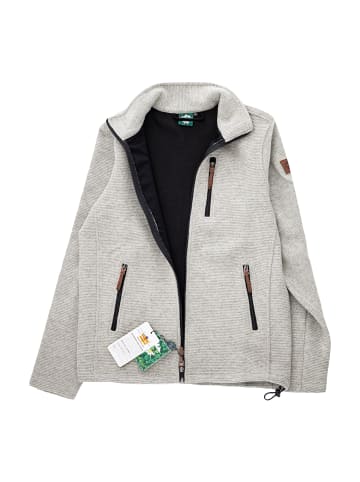 Alp1964 Outdoorjacke 306301 in grau