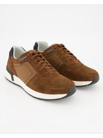 Pius Gabor Sneaker in Braun