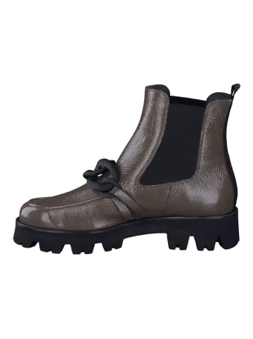 Paul Green Stiefelette in Fango