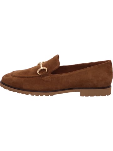 Paul Green Slipper in braun
