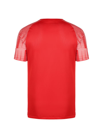 Nike Performance Fußballtrikot Dri-Fit Academy in rot / weiß