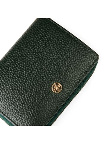 Esquire Alexandria Geldbörse RFID Schutz Leder 12.5 cm in grün