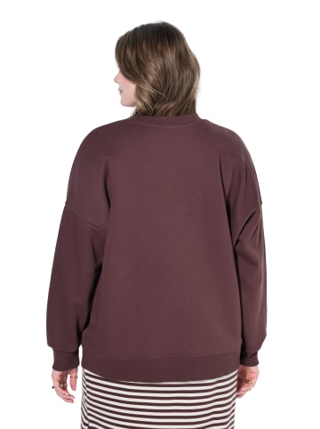 Studio Untold Sweatshirt in schokolade