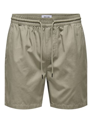 ONLY & SONS Shorts in Coriander