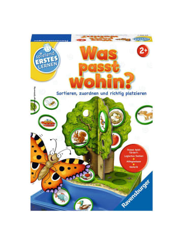 Ravensburger Geschicklichkeitsspiel Was passt wohin? Ab 2 Jahre in bunt