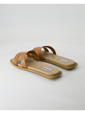 Steve Madden Pantoletten in Braun