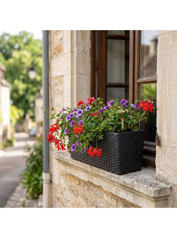 relaxdays Balkonkasten "Rattan" in Schwarz - (B)50 x (H)19 x (T)19 cm