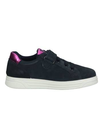 Primigi Sneaker in Navy