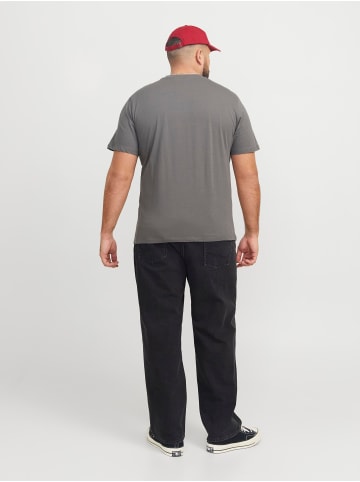 JACK & JONES PLUS T-shirt in Castlerock