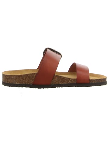 Plakton Klassische Pantolette in rot