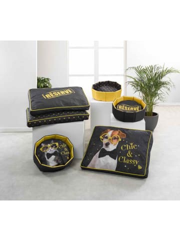 Love Story Hunde- und Katzenbett in marineblau