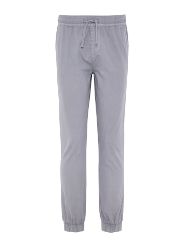 Threadbare Cargopants THB Trouser Presley in Grau