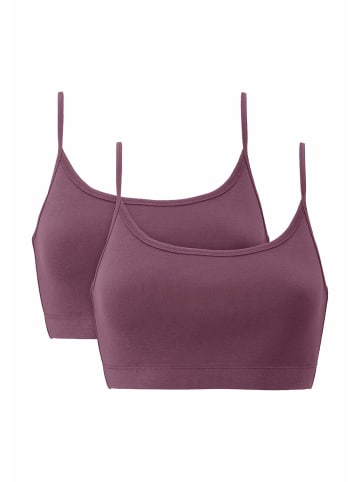 Hessnatur Bustier 2er-Set in brombeere
