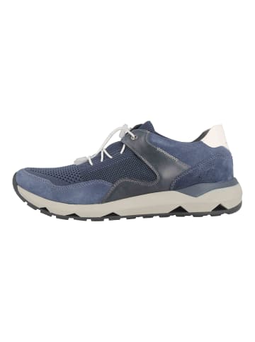 Josef Seibel Sneaker in Blau