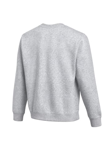 Nike Sweatshirt in Hellgrau