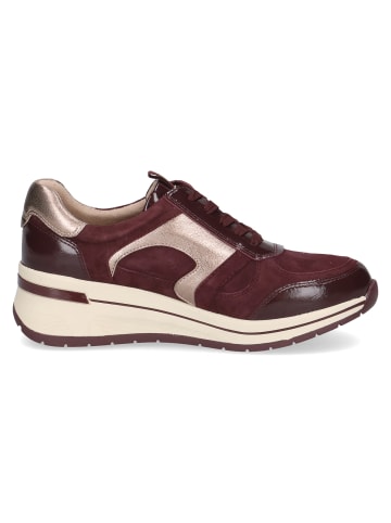 Caprice Slipper Sneaker in bordo