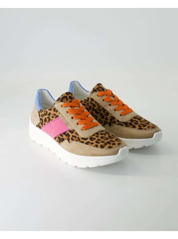 Ara Shoes Klassische Schnürschuhe