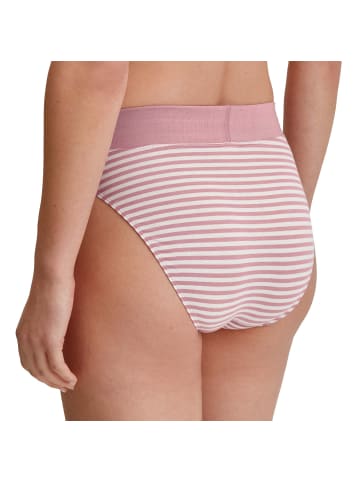 Calida Slip 1er Pack in Rosa