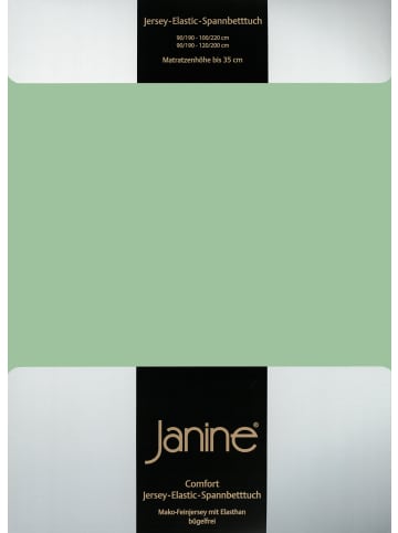 Janine Spannbetttuch Elastic Jersey in lind
