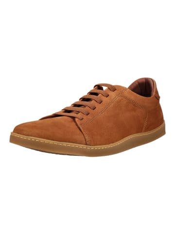 El Naturalista Barfußschuhe Sneaker in Braun