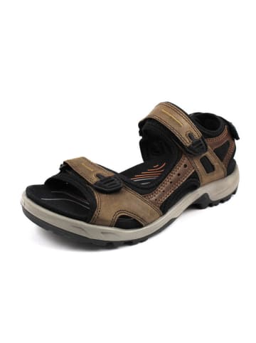 Ecco Outdoorschuh in braun