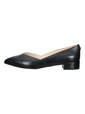 Nero Giardini Pumps in Schwarz