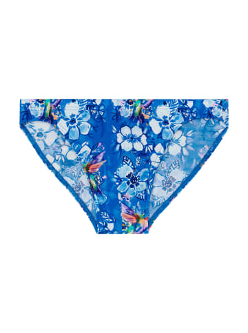 HOM Badehose Swim Micro Briefs Colibris in blue print