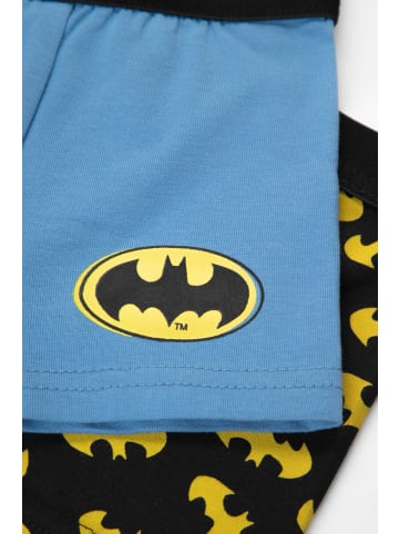 Coccodrillo Unterhose in bunt