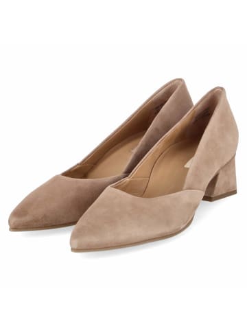 Paul Green Pumps / Ballerina in brown