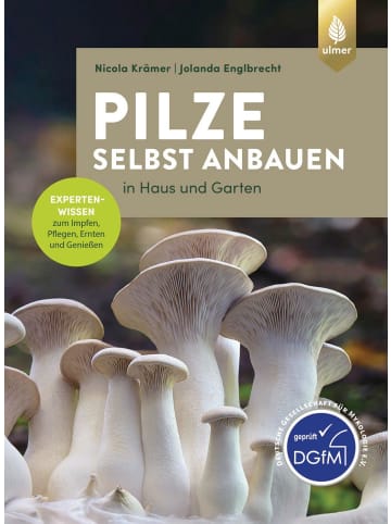 Ulmer Pilze selbst anbauen